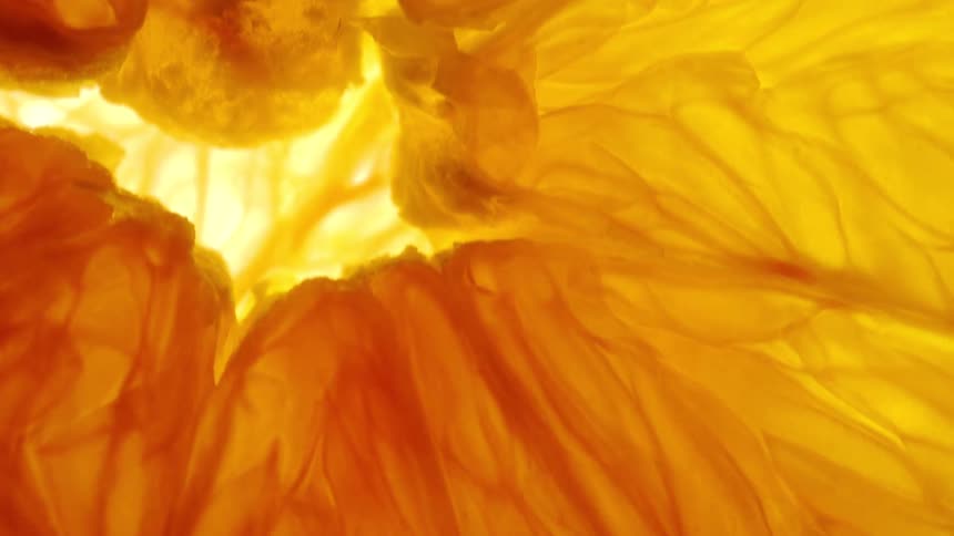 Extreme abstract close up on a slice of a fruit