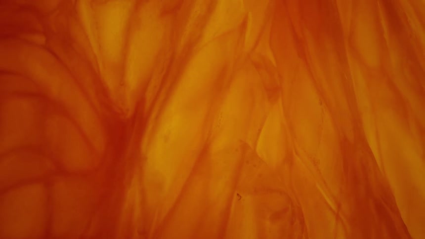 Veins of an orange slice from a close perspective