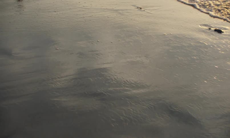 View of children's feet and shadowy reflections as they run through the wet sand and surf of the shoreline of a beach as the waves come in at sunset.