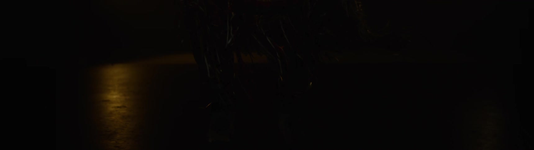 Silhouette of a person on a stage with low lighting