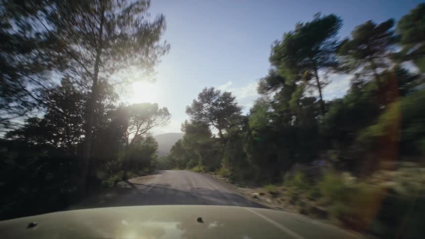 A car drives through a treelined road during sunset
