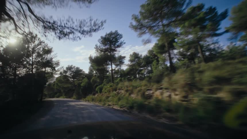 Point of view of a vehicle traveling on a dirt road surrounded by trees and with the sun reflecting off it