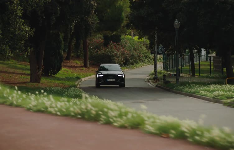 A black car is driving on a winding road through a park with lush greenery and white flowers on the sides