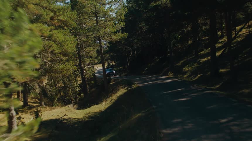 Black car traveling down a narrow road surrounded by tall trees during daytime