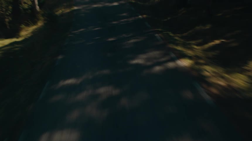 A dark car speeds down a sun dappled winding forest road rapidly approaching and passing the camera which then briefly tilts down to the blurred road surface