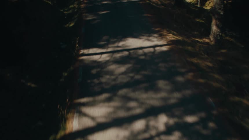 A trail runs through the park