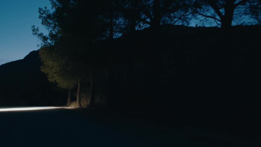 Vehicle lights briefly illuminate the side of the road lined with trees at night