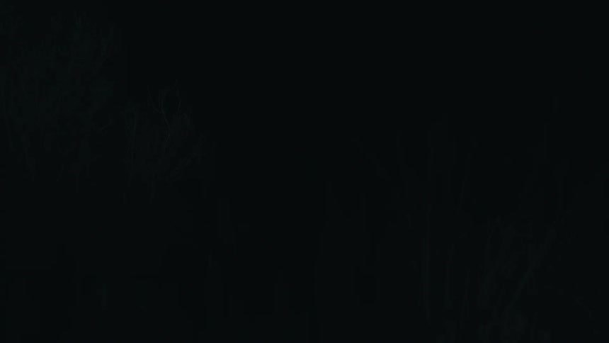 A dark grassy area near a tree line is sporadically illuminated up by a spotlight at night