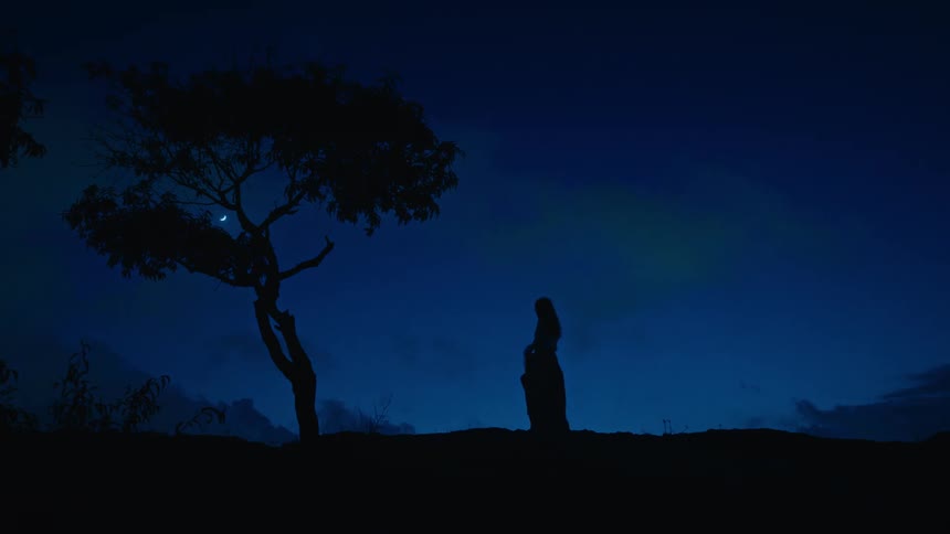 A silhouette of a person standing near a tree at night