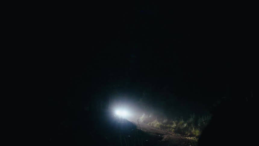 Car with its bright headlights on drives through the woods at night