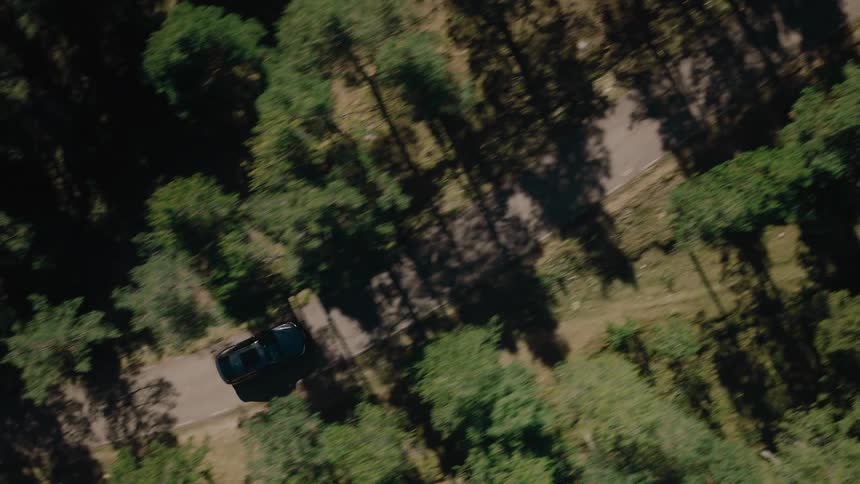 Aerial of a car moving on a road in the middle of a woodland area during the day