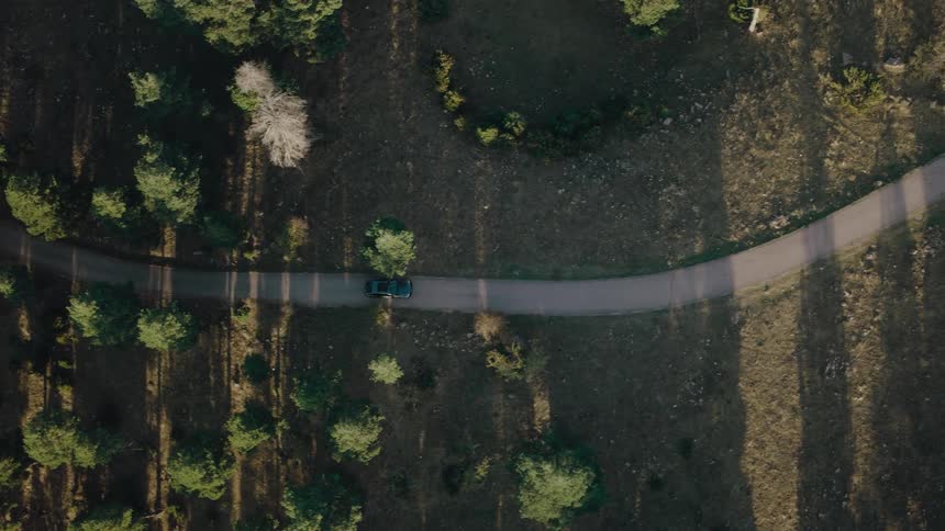 Car traveling on a winding road through sparse woods where the trees cast long shadows