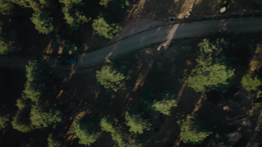 Aerial of a car driven on a road in the middle of a woodland area in daytime