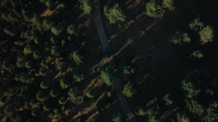 An aerial view shows a dark car driving on a winding asphalt road cutting through a sundrenched dry grassy landscape with sparse trees and long shadows