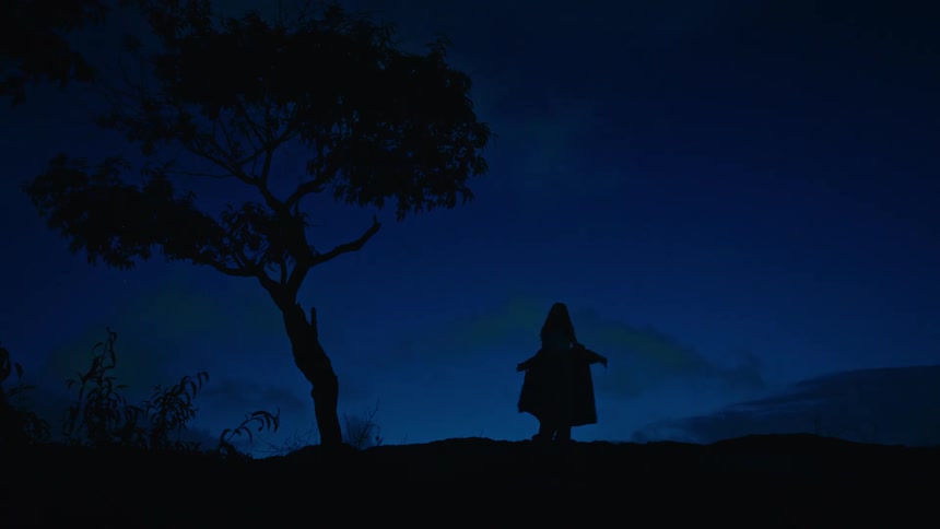 Silhouetted woman stands under a tree against a deep blue twilight sky