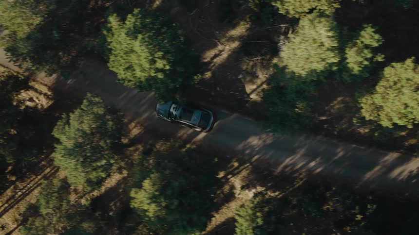 Aerial of a car driven on a road located in the middle of a woodland area during the day