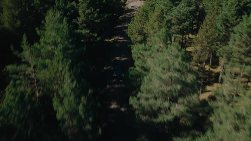 Aerial view of car driving along a winding tree shadowed road through the woods on a bright day