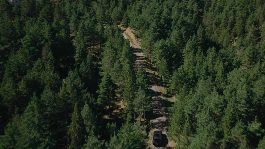 Aerial view of a black vehicle traveling along a road surrounded by forest