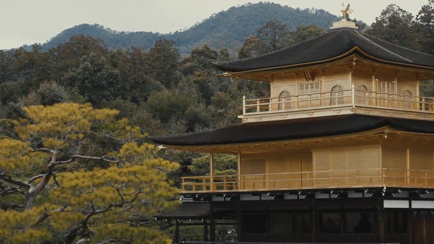 Mountains covered with trees is behind the building