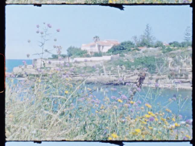 A coastal house sits atop a rocky cliff surrounded by trees and wildflowers overlooking calm blue water under a clear sky