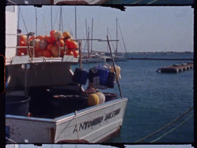 A white boat with orange buoys and blue crates on its deck is docked in calm blue water with sailboats and a distant landmass visible under a clear sky