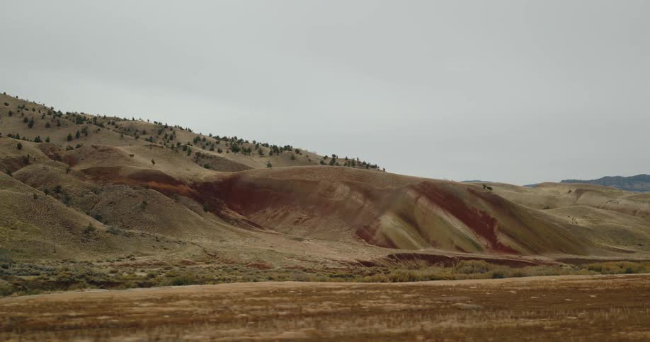 Green plants are spread out over the desert landscape