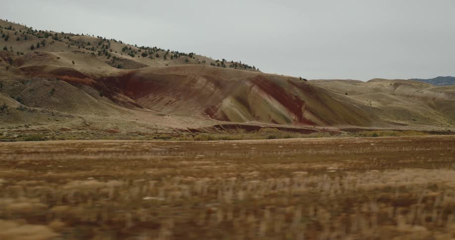 Windswept golden grasslands stretch towards rolling arid hills with colorful mineral deposits under a pale overcast sky