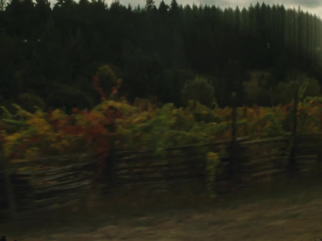 Crops are by the tree covered mountain