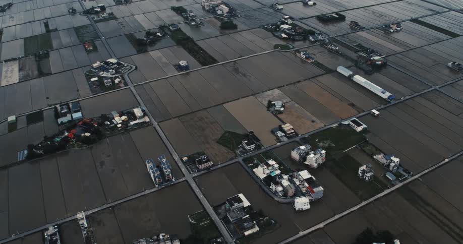 Houses scattered in an agricultural area