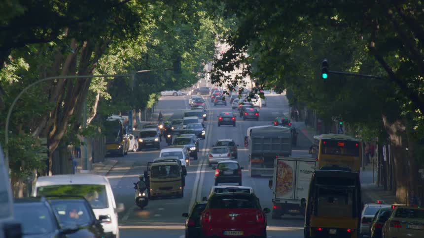 Vehicles drive on a street lined by trees