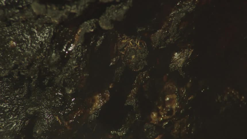 A charred blackened surface with thick whisps of smoke rising into a darkened space