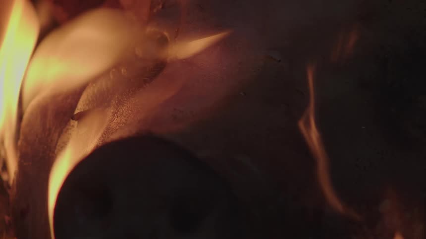Pig being roasted on the fire