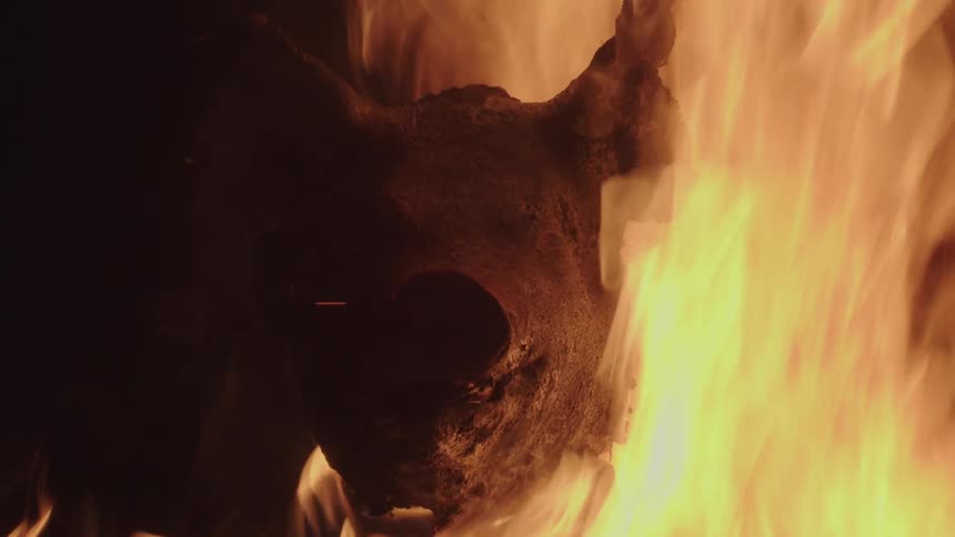 Pigs head in the middle of the embers of the fire