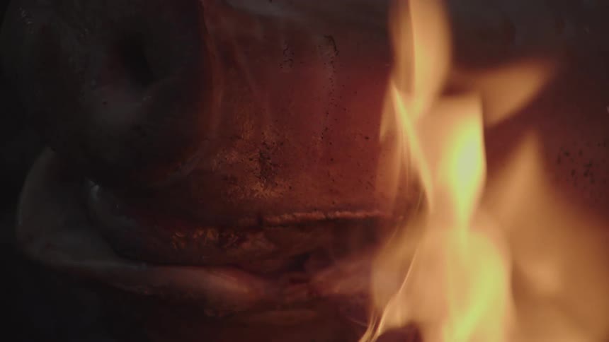 A closeup of a dead pigs snout with bright flames burning beside it