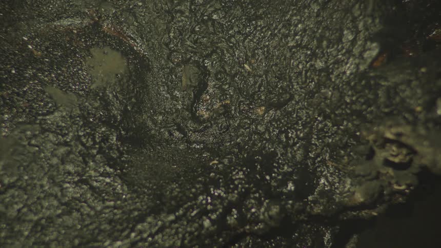 The surface of a stone that is wet and several droplets are passing over it