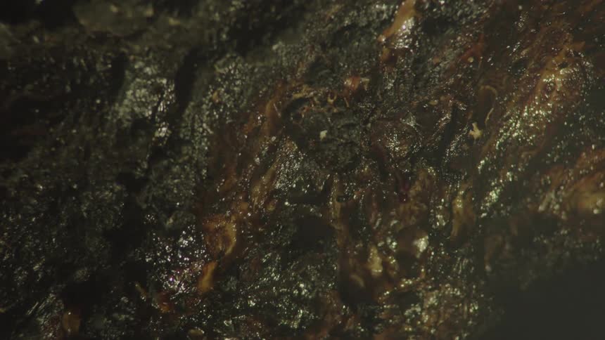 Juices drip from a cooking piece of meat partially enveloped in smoke