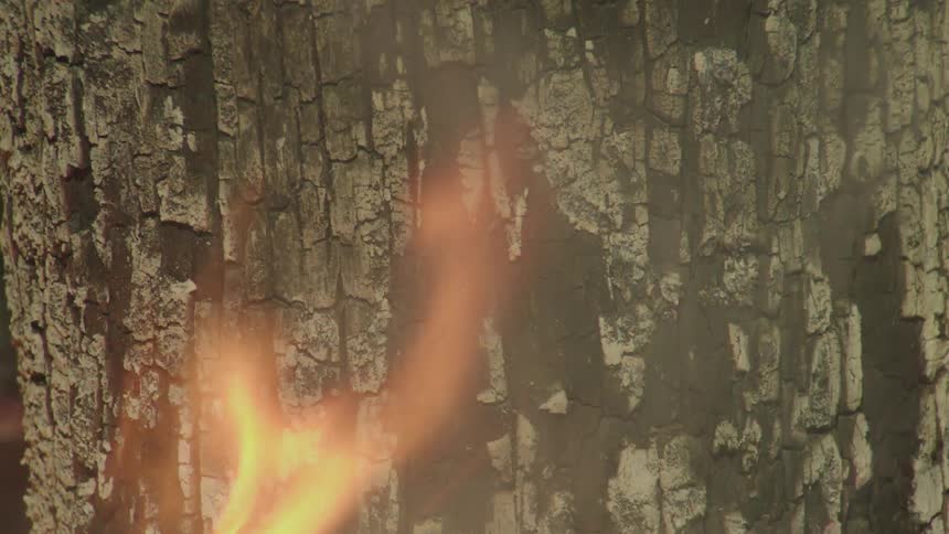Wooden surface chars in a smoking fire