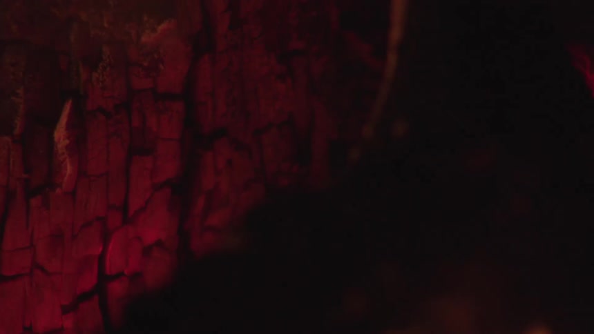 A closeup of charred cracked tree bark shows deep burn textures across the surface with areas still glowing redhot
