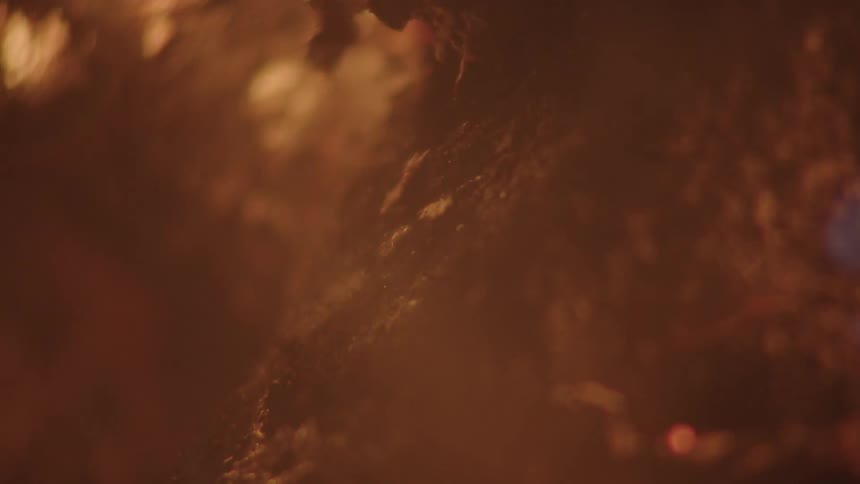 The meat is burning in the fire