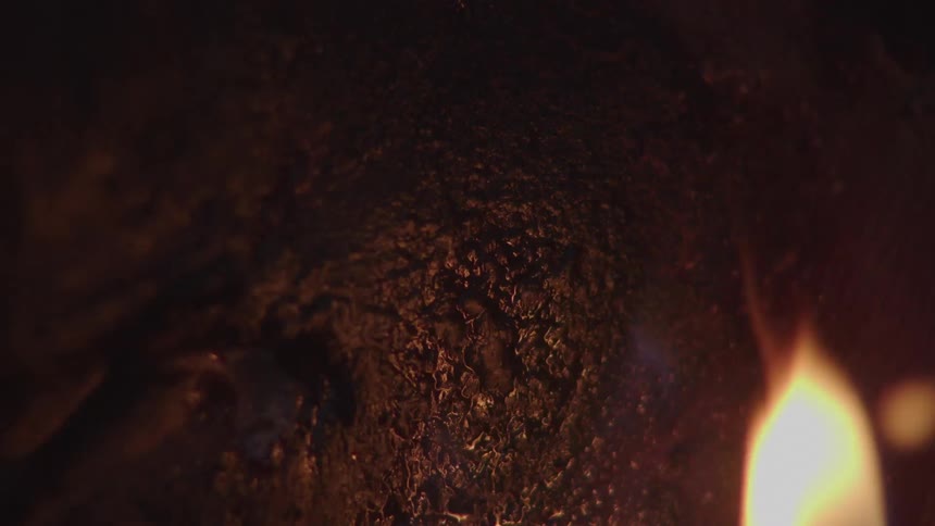 Close up of a pig being roasted on a fire