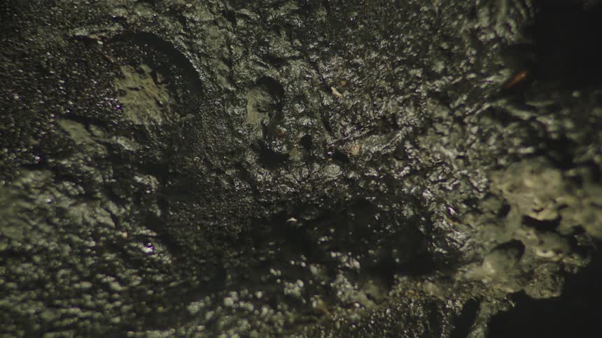 The surface of a stone that is wet with many tiny drops of water passing in front of it