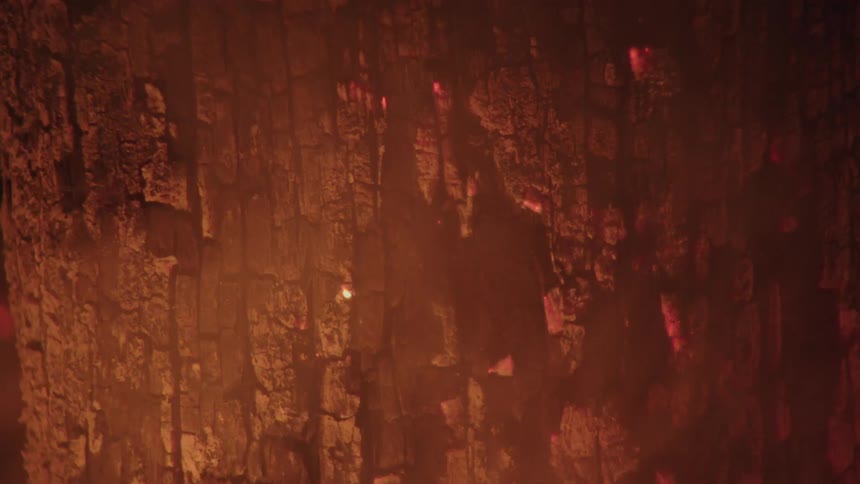 The log is burning in the fire