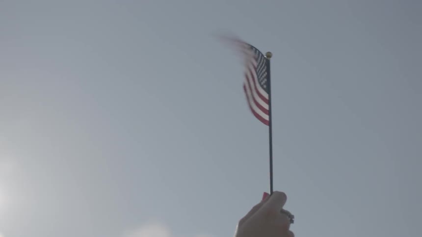 A child is holding a waving flag aloft