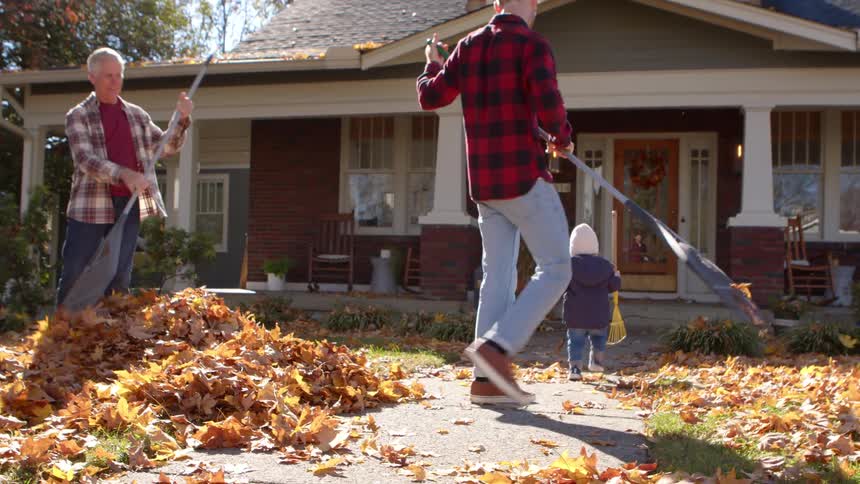 People including a child in a yard with dry leaves