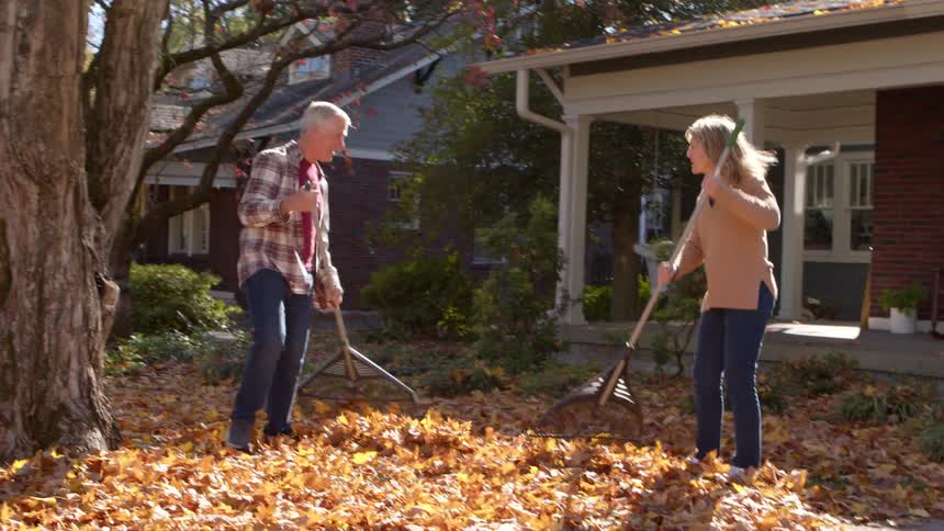 A cheerful older couple enjoys a sunny autumn day talking and smiling as they rake a large pile of fallen leaves together in their front yard