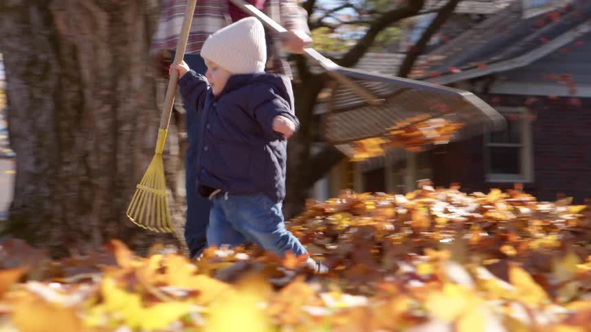 A boy runs through the yard with a rake