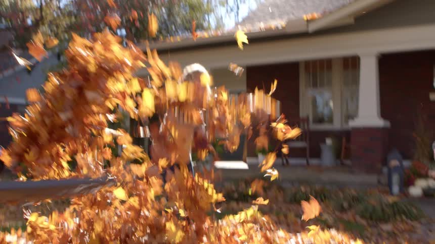 Family play outdoors in front of their home during the air by throwing fallen leaves in the air with rakes