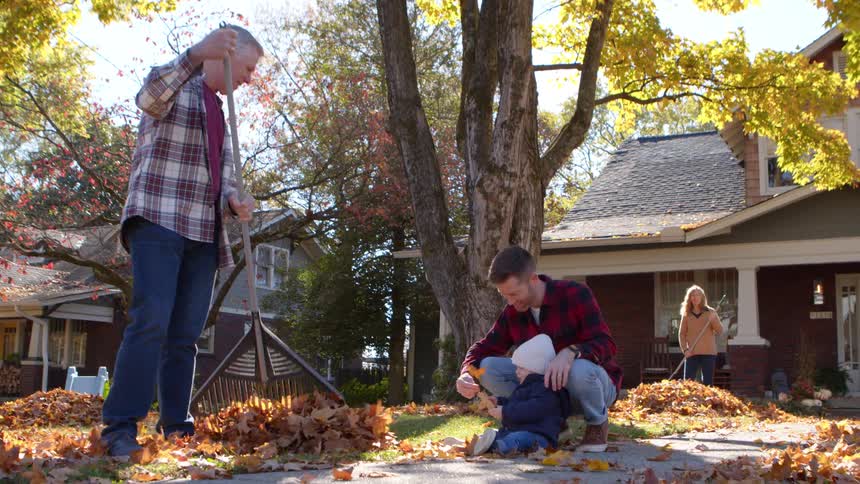 Two people are raking leaves while another kneels beside a child on a sidewalk in a tree lined residential neighborhood during autumn