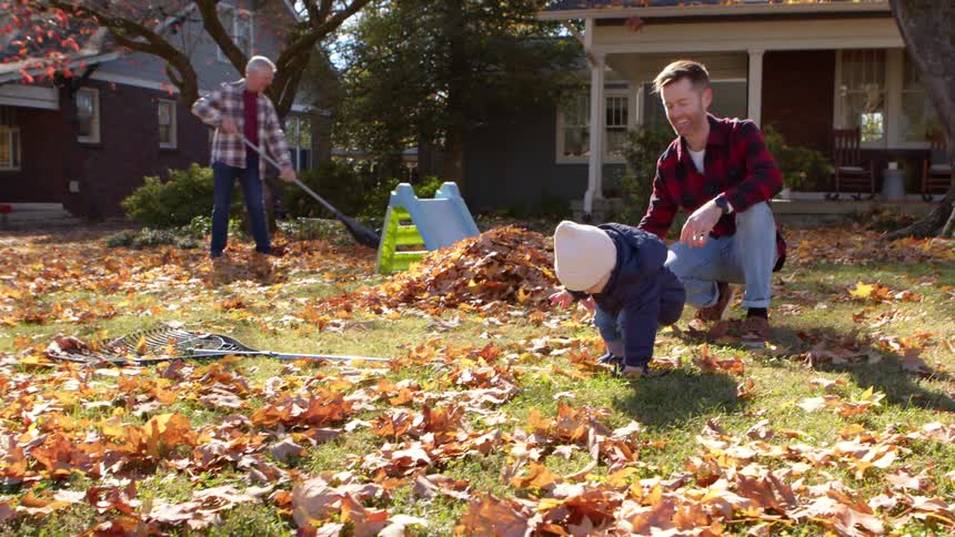 A little child wearing a white hat is carrying a rake on a lawn full of dry leaves on the ground next to a smiling adult