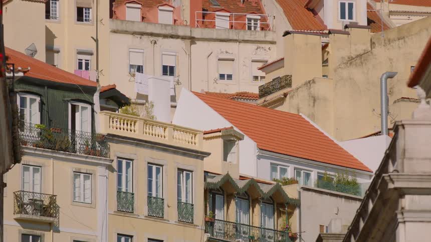 Birds fly over city row houses on a sunny day